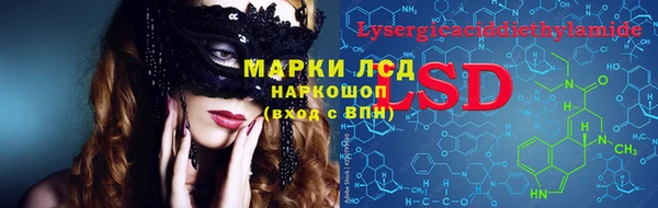 шишки Щучье