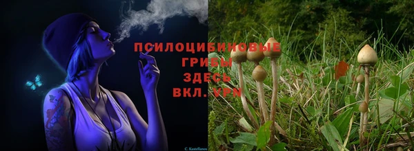 мефедрон мука Гусь-Хрустальный