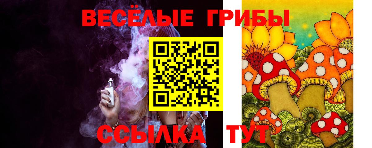 Псилоцибиновые грибы мицелий Назарово