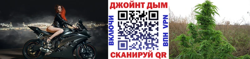 Каннабис семена  это формула  Назарово 